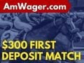 AmWager | Horse Racing Betting | Watch Live Races & Bet Online