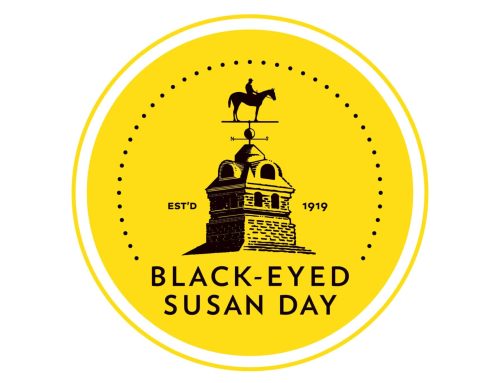 5/19: Hi Ho Pimlico (Black-Eyed Susan Day)