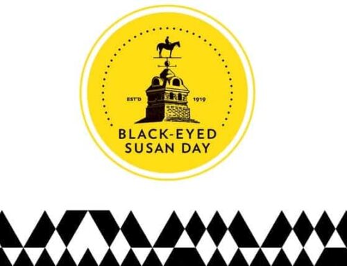 5/17 (PIM): Black-Eyed Susan/PIM Special Day