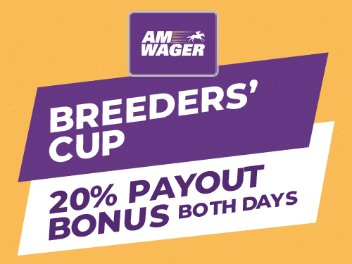 AmWager | Horse Racing Betting | Watch Live Races & Bet Online